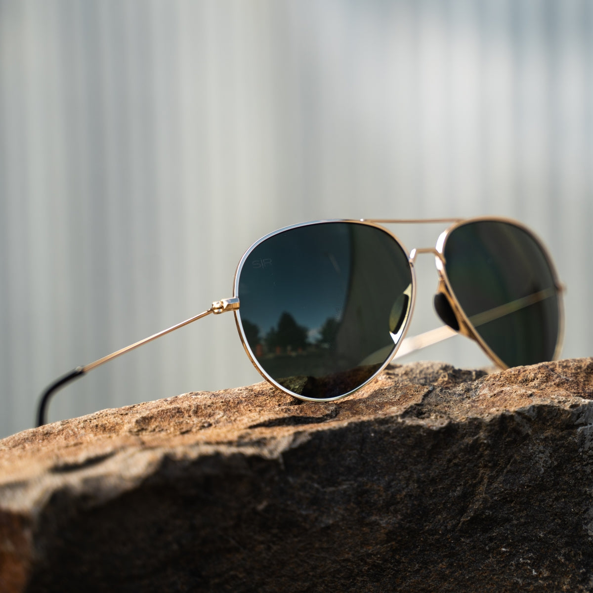 Tangle Free Aviator - Black Gold Polarized - Image 4